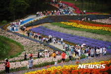시원하고 짜릿한 충남 여름축제로 초대합니다