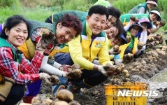 행복나눔농장 감자 수확하는 중구