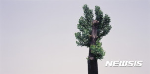 영월은 지금 사진 ‘열풍’···제16회 동강국제사진제 개최 