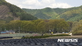 진안 하초마을 숲 국가산림문화자산 지정 
