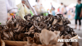 파머스 마켓 싱싱한 농산물이 한자리에