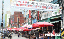살아있는 닭 제한적 유통 가능, 한산한 모란시장