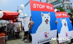 스톱 복날