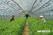 찜통더위의 찜통하우스