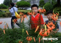 참나리 꽃 구경하는 어린이