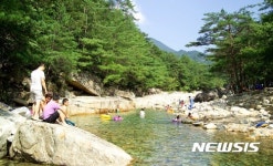 [제천소식]올여름 휴가는 제천 계곡서 힐링하세요 등