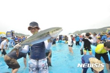 2017 울산조선해양축제 방어잡기 행사