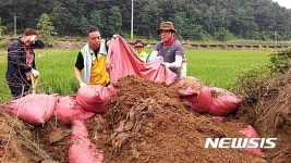 괴산서 수해복구 봉사하는 대덕구 자원봉사자들