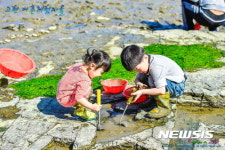 여름휴가는 미더덕의 고향 진동 어촌체험마을에서