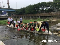 남산천·창원천 생태하천에 잉어 치어 1만마리 방류