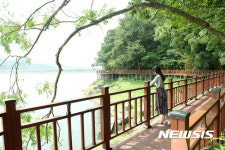 숲·호수가 어우러진 명품 장성호 수변길