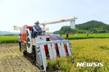 순천 해룡면 전국 첫 노지 벼 베기