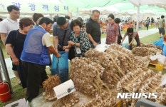 즐거움이 깃든 맛의 향연 단양마늘축제 성료