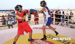 [동해소식]전국대학생·생활체육 복싱대회 등