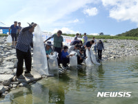 경북도내 15개 시·군 하천에 붕어·잉어 120만리 방류