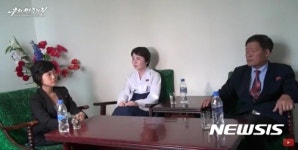 [단독]경찰, 임지현 자진입북 판단...국보법 잠입·탈출 체포영장 방침