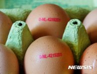 살충제 오염 달걀사태 , 유럽 각국으로 확산 
