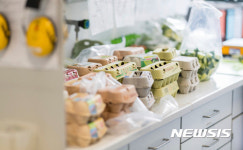 살충제 오염 달걀사태 , 유럽 각국으로 확산 