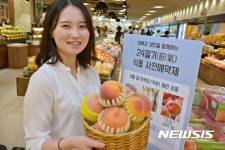 [대구소식]대구백화점, 24절기 식품 사전예약제 실시 등