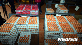 농약 불검출 통보받았는데 나주 살충제 계란에 도소매업계도 비상