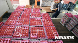 살충제 계란 파동에 일반 도매업체 울상