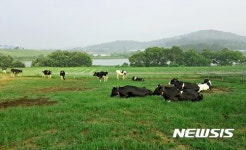 살충제계란 파동에···동물복지 챙긴 착한 축산물 주목