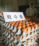 08광명농장 살충제 계란 발견된 제주