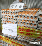 '08광명농장' 살충제 계란 발견된 제주