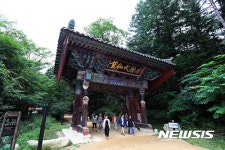 전나무 숲길을 걸어요