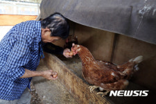살충제 필요없는 동물복지농장