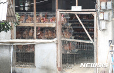 살충제 파동 속 경기도 가축행복농장은 A4 1장짜리 