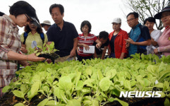 경기도농업기술원, 토종채소 모종 및 씨앗 나눔