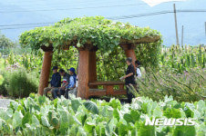 밀양 경남농업자원관리원 원두막과 방문객