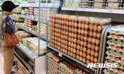 강원지역 계란 소비촉진 홍보 후 판매 증가 