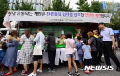 계란 이제는 안심하고 드세요