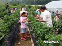 [용인소식]학일마을, 농림부 창조적 마을 공모 선정 등