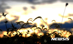 노을빛 아름다운 들녘