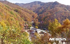 영동군, 추석연휴에 민주지산자연휴양림 그냥 들어오세요