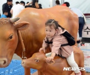 장수 한우랑사과랑 축제에서 즐거운 아이