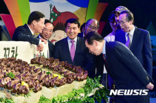 2017완주와일드푸드축제, 돼지코 꼬치 신기하네