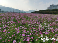 밀양에도 이런 곳이?