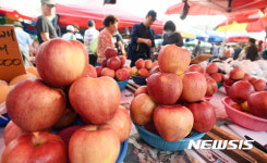 추석 앞두고 나온 빨간 사과