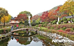 엑스포서 한방체험하고 꼭 둘러볼 제천 관광지