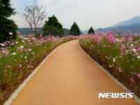 경남 하동, 29일 배드리공원에서 코스모스·호박축제 개최 