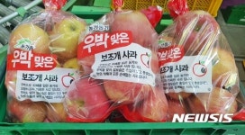 충주시 우박 맞은 사과 팔아요···축제장·상설판매장 등
