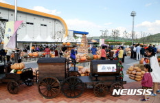 경남 하동 북천 코스모스·메밀꽃축제 대박 조짐 