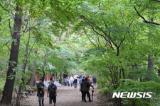 깊어가는 가을