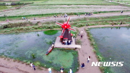 하동 북천 코스모스·메밀꽃축제 121만 인파 몰렸다