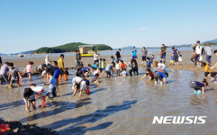 서산뻘낙지먹물축제 13~15일 개최