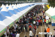 2017 보은대추축제, 13일 ‘팡파르’